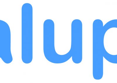 Logo Valuplex